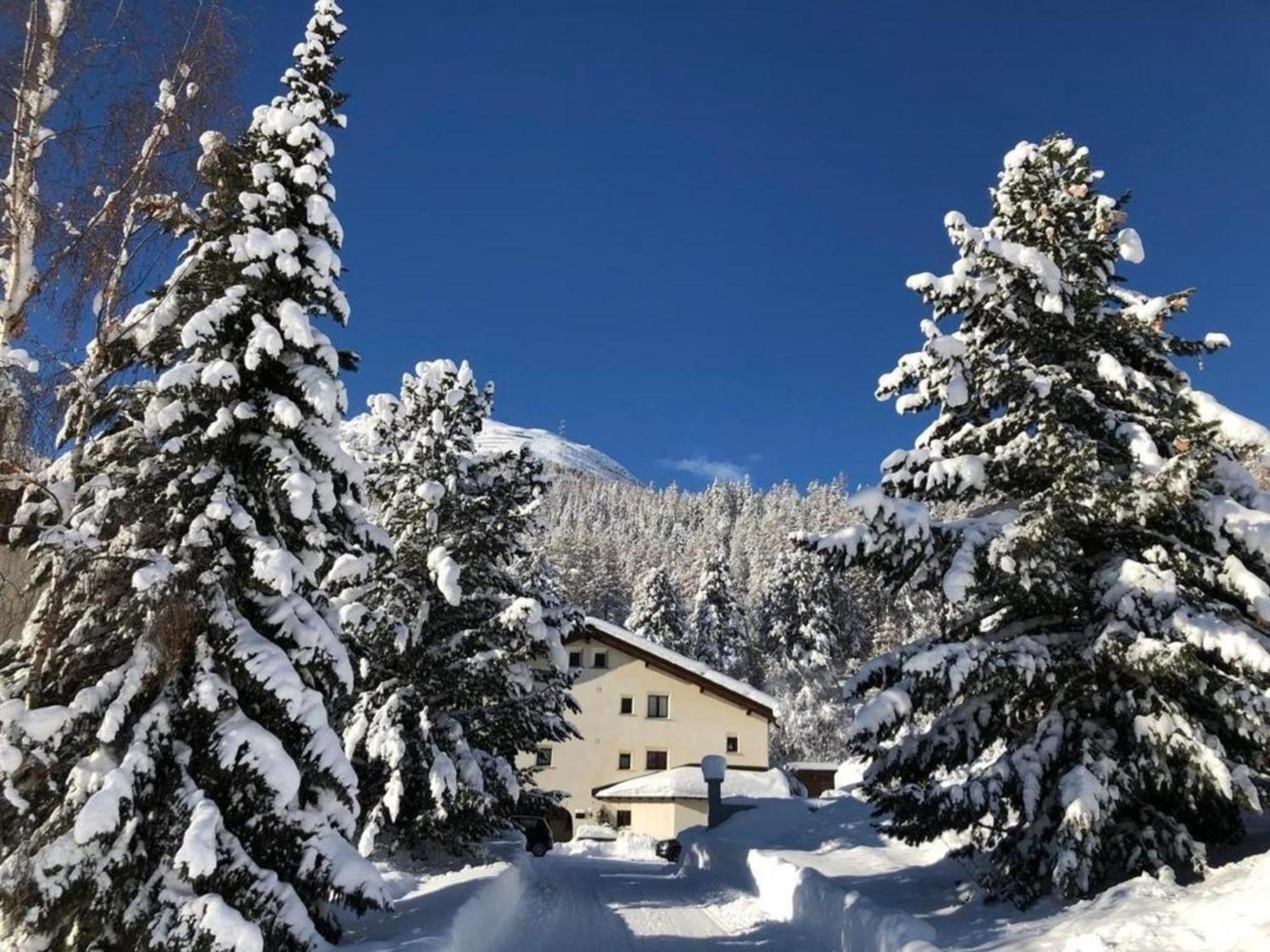 Ferienwohnung Residenz La Mora 21 "Bergbahnen Und Oev All Inklusive" Im Sommer La Punt-Chamues-ch Exterior foto